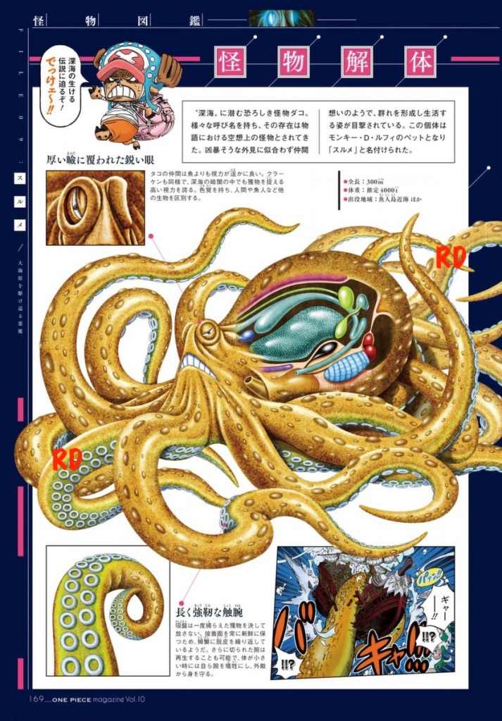 One Piece Magazine Vol 10 New Information The Library Of Ohara